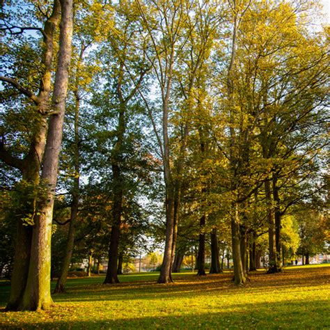 Biodiversité Sotteville lès Rouen