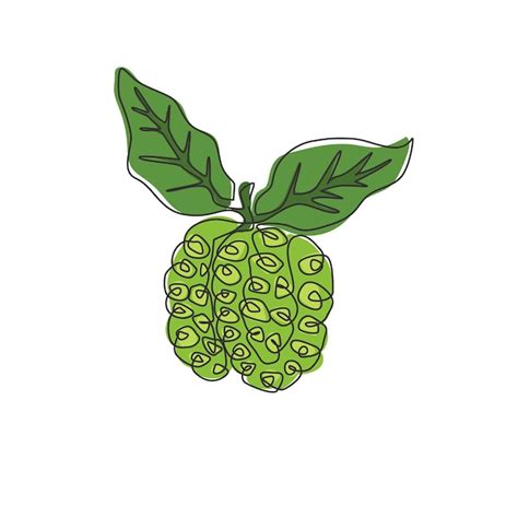 Un dibujo de una sola línea del logotipo del huerto de noni orgánico