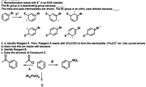 Solved Bromobenzene Reacts With E In An Eas Reaction The Br Group Is