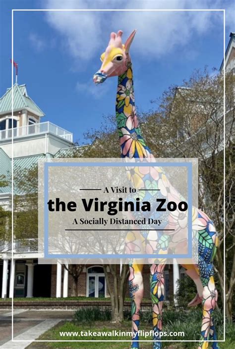 A Socially Distanced Day At The Virginia Zoo Norfolk Va The