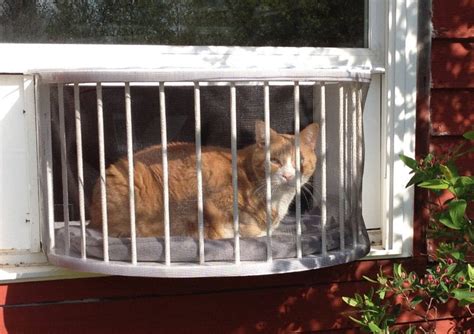 Cat Solarium Sunroom Package The Ultimate Cat Window Box Etsy Cat Window Indoor Cat Cats