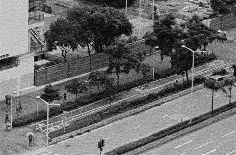 stop bath     lais film blog