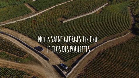 Nuits Saint Georges 1er Cru Clos Des Poulettes