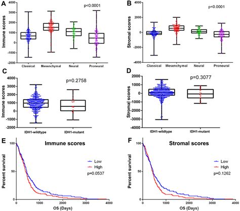 Mining Tcga Database For Genes Of Prognostic Value In Glioblastoma