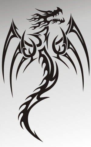 Mo Drachen Aufkleber Drache Autoaufkleber Dragon Sticker