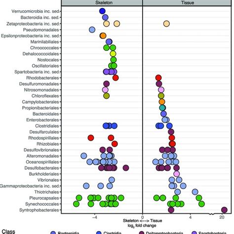 Differential Gene Abundance Analysis DESEQ2 113 Of NifH ASVs From