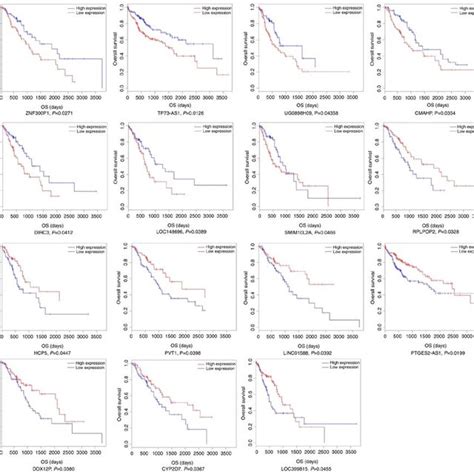 Kaplan Meier Survival Curves For Lncrnas Associated With Escc