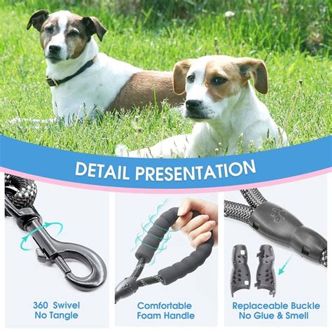 Which Dog Leash is The Best for Your Pup?