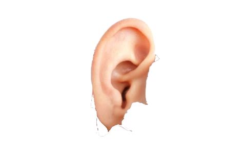 ear   png icon favicon freepngimg