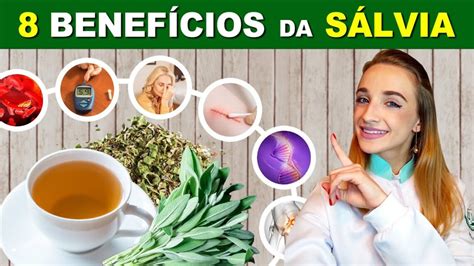 VÍDEO 8 Benefícios da SALVIA para Saúde Para Que Serve Receitas