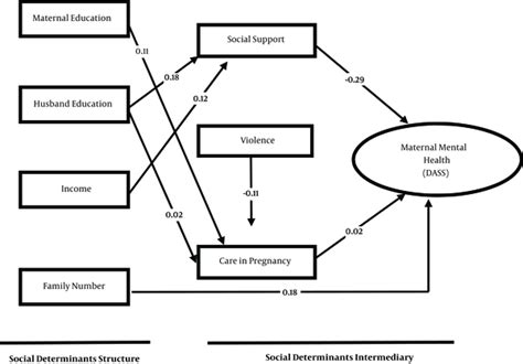 The Relationship Between Household Socioeconomic Status And Mental