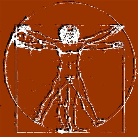 The Vitruvian Man