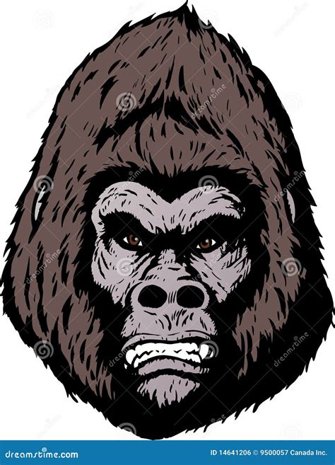 Angry gorilla face stock vector. Illustration of stern - 14641206