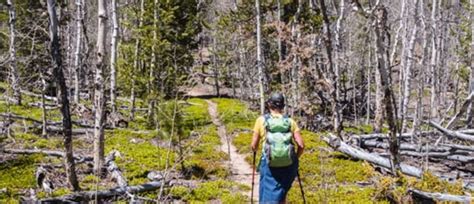 Davis Meadow Trail