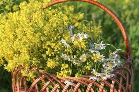 Premium Photo Wicker Basket With Wildflowers Daisies Closeup Soft Focus