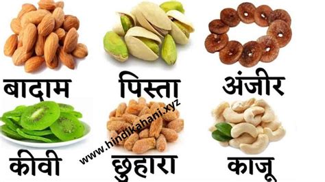 Dry Fruits Name In Hindi ड्राई फ्रूट्स Hindi Kahani