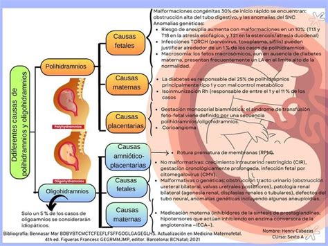 Diferentes Causas De Polihidramnios Y Oligohidramnios Henry Cabezas