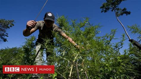 Las Terribles Causas Y Consecuencias De Que Paraguay Sea El Mayor