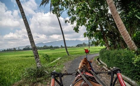 Kemenparekraf Perkuat Peran Masyarakat Dalam Pengembangan Desa Wisata