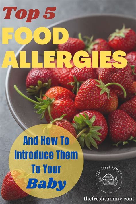 Top 5 Food Allergies In Infants How To Introduce Them To Your Baby