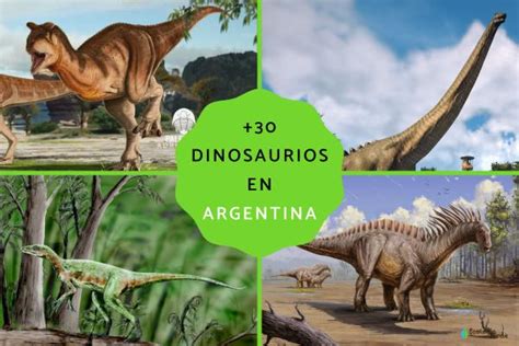 Dinosaurios En Argentina Caracter Sticas Y Fotos