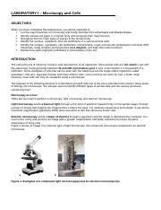 Laboratory I Cells And Microscopes Docx LABORATORY I Microscopy And