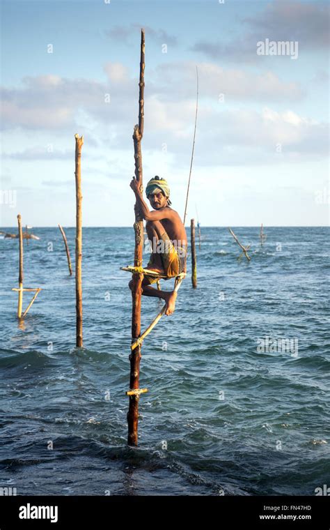 Sri Lankan Stilt Fishing Sri Lankan Stilt Fishermen At Sunset Koggala