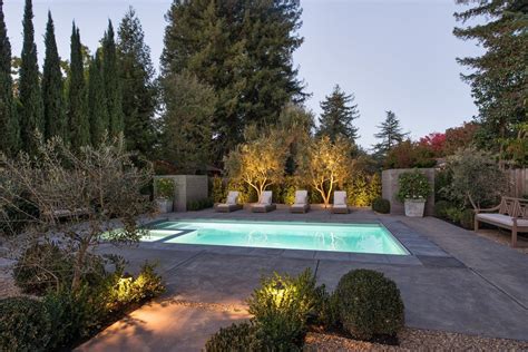 Texas pool landscaping ideas low maintenance - epicpna