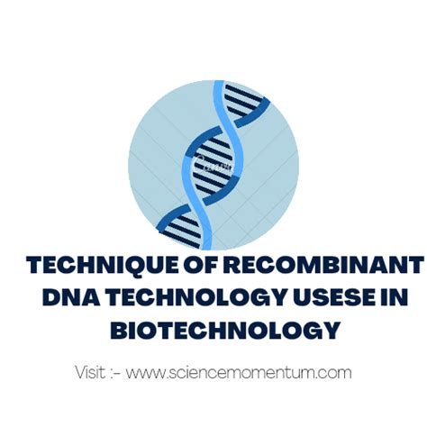 Technique Of Recombinant Dna Technology Usese In Biotechnology Tools