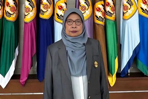 Calon Perseorangan Pilkada Serentak Diperkirakan Lebih Sedikit