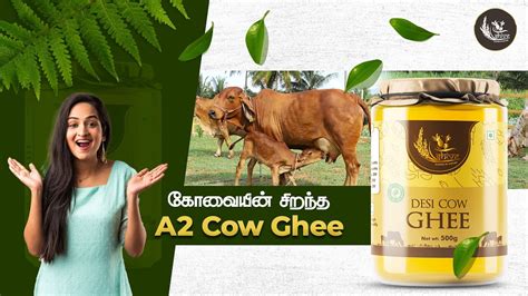 Best Pure Ghee In India Coimbatore Organic Ghee Making Of Pure A