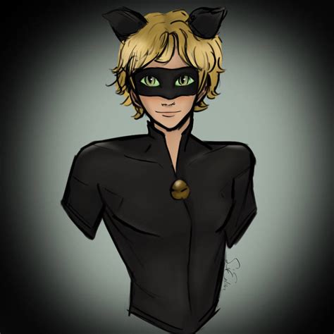 cat noir fan art  siredn  deviantart