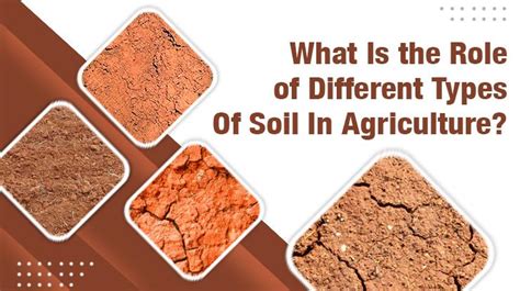 Types Of Soil In India, Map, List, Soil Erosion, Soil, 57% OFF