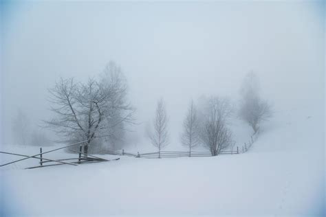 winter stock  images  backgrounds