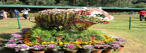 Government Botanical Gardens - Ooty (2020 - Entrance Fee, Timing ...