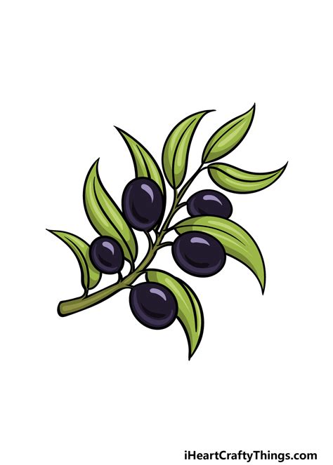 How To Draw A Olive Tree Easy Gardner Faceeces