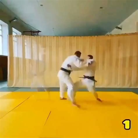 Top Throw 1 8 In Judo Best Ippon Judo Judoka Judotraining Kimono