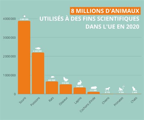 Expérimentation animale les derniers chiffres