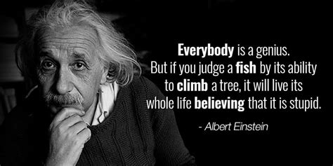 Albert Einstein School Quote