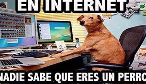 Los Memes Y S Por El Día Del Internet Capital México