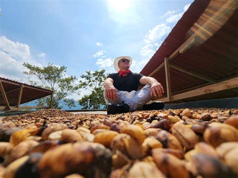 Coffee Tour En Medell N Experiencia Cafetera Tour Del Caf