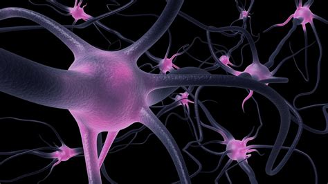 pengobatan tiroid thyroid perawatan hipertiroid dokter tiroid