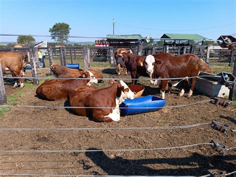 El Ministerio Del Agro Presente En La Nueva Edici N De La Expo Rural De