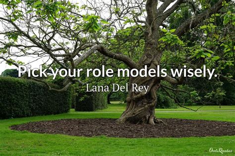 Quotes And Sayings On Role Models