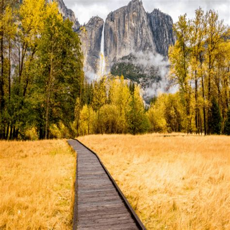 The 16 Best Easy Hikes In Yosemite