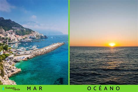 Diferencia Entre Mar Y Oceanos Encuentra La Diferencia