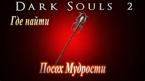 Где найти Посох Мудрости Dark Souls 2 Дарк Соулс 2 ГАЙД Лучший