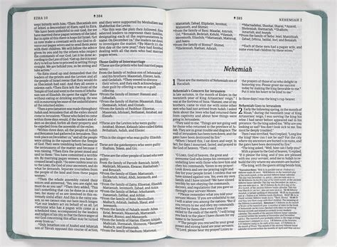 Nlt Large Print Premium Value Thinline Bible Filament Enabled Edition