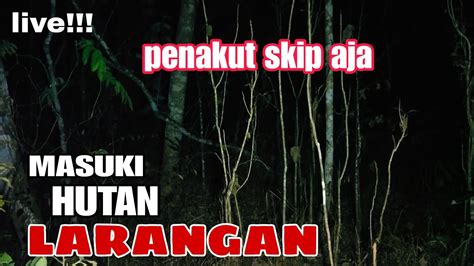 Live Masuk Hutan Larangan Youtube