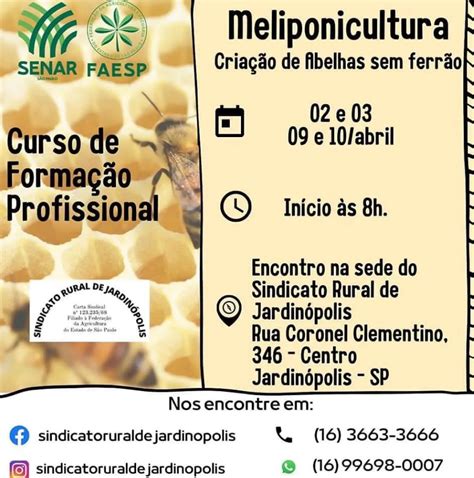 Meliponicultura Cria O De Abelhas Sem Ferr O Beeinfo